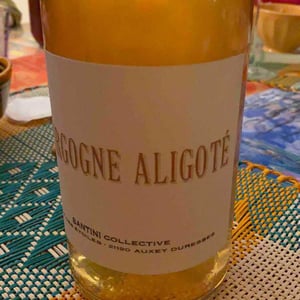 Bourgogne Aligoté - Santini Collective - Christopher & Patrick Santini 