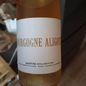 Bourgogne Aligoté - Santini Collective - christopher-patrick-santini