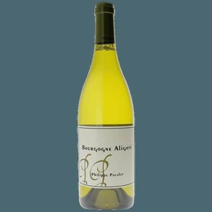 Bourgogne Aligoté - Philippe Pacalet - monica-et-philippe-pacalet -2016