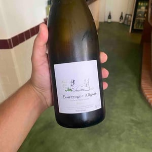 Bourgogne Aligoté - "Bréau" - Vini Viti Vinci - nicolas-vauthier-kikro