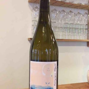 Bourgogne Aligoté - La Chaume des Lies - margaux-rivaux-lothar-galloo