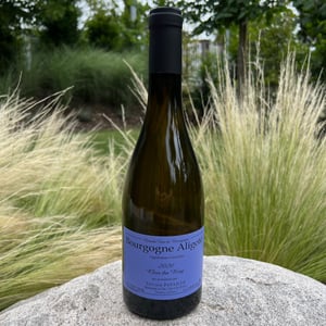 Bourgogne Aligoté Clos du Roy - Sylvain Pataille - sylvain-pataille -2020