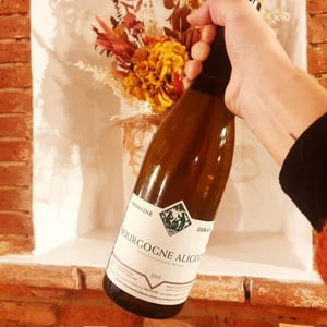 Bourgogne Aligoté - Domaine Derain - julien-altaber-carole-shwab-domique-derain