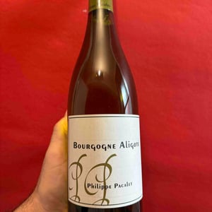 Bourgogne Aligoté - Philippe Pacalet - monica-et-philippe-pacalet -2016