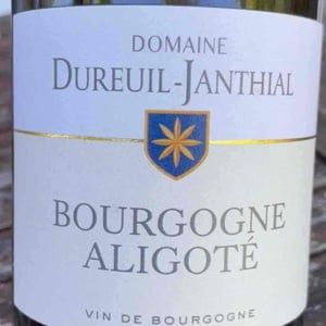 Bourgogne Aligoté - Domaine Dureuil Janthial - Vincent Dureuil-Janthial -2019