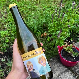 Domaine Robert-Denogent - Jean-Jacques, Antoine & Nicolas Robert - Bourgogne Aligoté