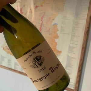 Bourgogne Aligoté - Domaine Pavelot - luc-lise-pavelot