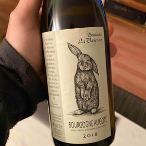 Bourgogne - Aligoté "Lapin" 2018