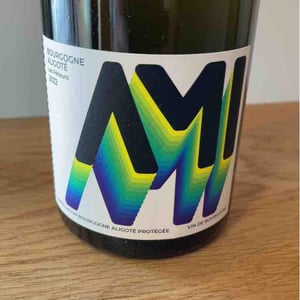 Bourgogne Aligoté Les Péteurs - Domaine Ami - Paul Marchand-Perarnau & Willy Roulendes -2020