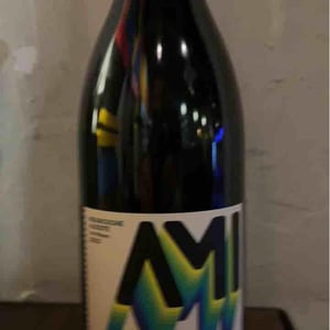 Bourgogne Aligoté Les Péteurs - Domaine Ami - paul-marchand-perarnau-willy-roulendes -2020