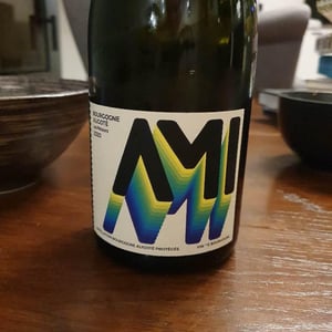 Domaine Ami - Paul Marchand-Perarnau & Willy Roulendes - Bourgogne Aligoté Les Péteurs