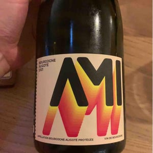 Bourgogne Aligoté Les Péteurs - Domaine Ami - Paul Marchand-Perarnau & Willy Roulendes -2020