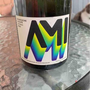 Bourgogne Aligoté Les Péteurs - Domaine Ami - paul-marchand-perarnau-willy-roulendes -2020