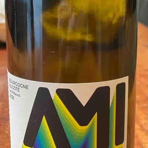 Bourgogne Aligoté Les Péteurs - Domaine Ami - Paul Marchand-Perarnau & Willy Roulendes -2020