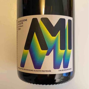 Bourgogne Aligoté Les Péteurs - Domaine Ami - Paul Marchand-Perarnau & Willy Roulendes -2020