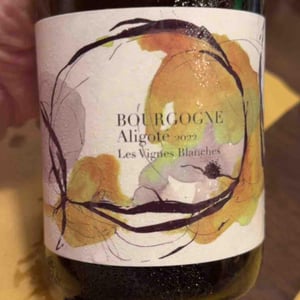 Bourgogne Aligoté "Les Vignes Blanches" - Domaine Didon - Naima & David Didon 