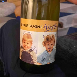 Bourgogne Aligoté - Domaine Robert-Denogent - jean-jacques-antoine-nicolas-robert -2020