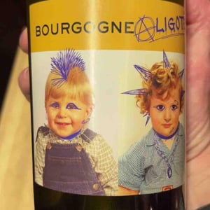Bourgogne Aligoté - Domaine Robert-Denogent - jean-jacques-antoine-nicolas-robert -2020