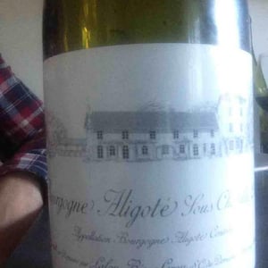 Bourgogne Aligoté Sous Châtelet - Domaine Leroy / Domaine d'Auvenay - marcelle-lalou-bize-leroy