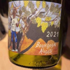 Bourgogne Aligoté - Domaine Henri Naudin-Ferrand - Claire Naudin 