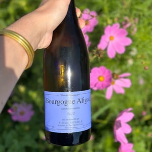 Bourgogne Aligoté - Sylvain Pataille - Sylvain Pataille 