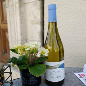 Bourgogne Aligoté - Fanny Sabre - fanny-sabre