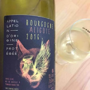 Chapuis & Chapuis - Romain & Jean-Guillaume Chapuis - Bourgogne Aligoté