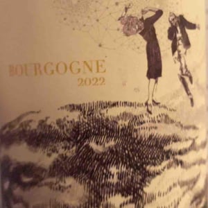 Bourgogne Blanc 2021 - Domaine Didon - Naima & David Didon 