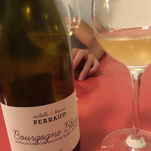 Bourgogne Blanc - Côtes de la Molière - Isabelle & Bruno Perraud 