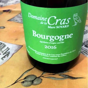 Domaine de la Cras - Marc Soyard - Bourgogne (blanc)
