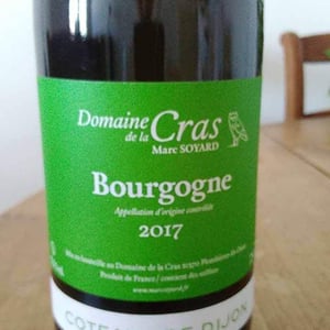 Bourgogne (blanc) - Domaine de la Cras - Marc Soyard 