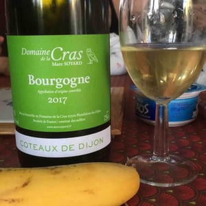 Domaine de la Cras - Marc Soyard - Bourgogne (blanc)