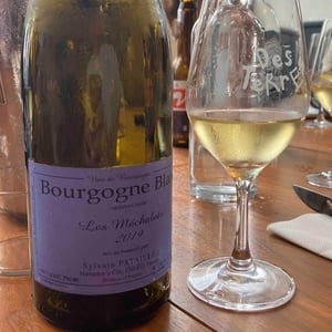 Bourgogne Blanc Les Mechalots 19