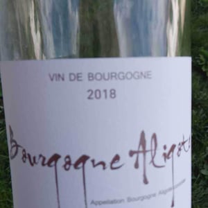 Bourgogne Blanc - Sarnin-Berrux - Jean-Pascal Sarnin & Jean-Marie Berrux 