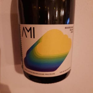 Bourgogne Blanc - Domaine Ami - paul-marchand-perarnau-willy-roulendes