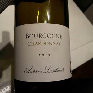 Bourgogne Chardonnay - Antoine Lienhardt - Antoine Lienhardt 