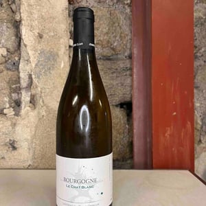 Le Chat Blanc - Domaine du Clair Obscur - jennifer-et-pierre-clair