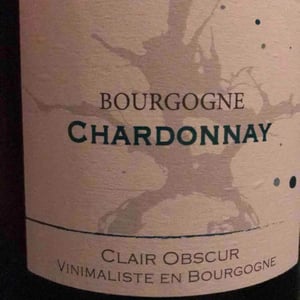 Bourgogne Chardonnay - Domaine du Clair Obscur - jennifer-et-pierre-clair