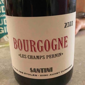 Bourgogne Côte Châlonnaise - Santini Collective - Christopher & Patrick Santini 