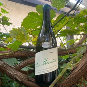 Bourgogne Côte d’Or Chardonnay La Monatine 2018 - Domaine Rougeot Père et Fils - pierre-henri-marc-rougeot -2018
