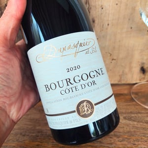 Bourgogne cote d'Or pinot noir - Domaine Dupasquier - David & Véronique Dupasquier -2020