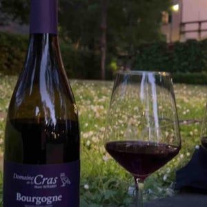 Bourgogne Côteaux de Dijon Rouge - Domaine de la Cras - Marc Soyard 