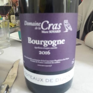 Bourgogne Côteaux de Dijon Rouge - Domaine de la Cras - marc-soyard