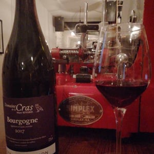 Domaine de la Cras - Marc Soyard - Bourgogne Côteaux de Dijon Rouge