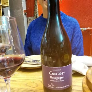 Bourgogne Côteaux de Dijon Rouge - Domaine de la Cras - Marc Soyard 
