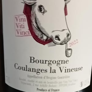 Bourgogne Coulanges La Vineuse - Vini Viti Vinci - nicolas-vauthier-kikro