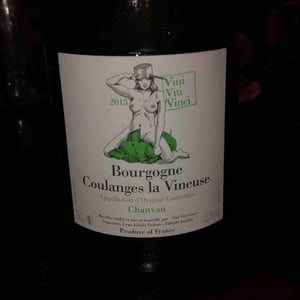 Bourgogne Coulanges La Vineuse "Chanvan" Blanc - Vini Viti Vinci - nicolas-vauthier-kikro