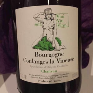 Vini Viti Vinci - Nicolas Vauthier "Kikro" - Bourgogne Coulanges La Vineuse "Chanvan" Blanc