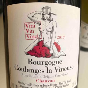 Bourgogne Coulanges La Vineuse "Chanvan" - Vini Viti Vinci - Nicolas Vauthier "Kikro" 