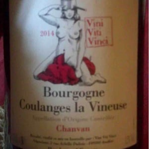 Bourgogne Coulanges La Vineuse "Chanvan" - Vini Viti Vinci - nicolas-vauthier-kikro